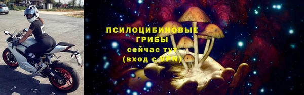 тгк Чекалин